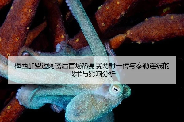 mei-xi-jia-meng-mai-a-mi-hou-shou-chang-re-shen-sai-liang-she-yi-chuan-yu-tai-lei-lian-xian-de-zhan-shu-yu-ying-xiang-2-632.jpg